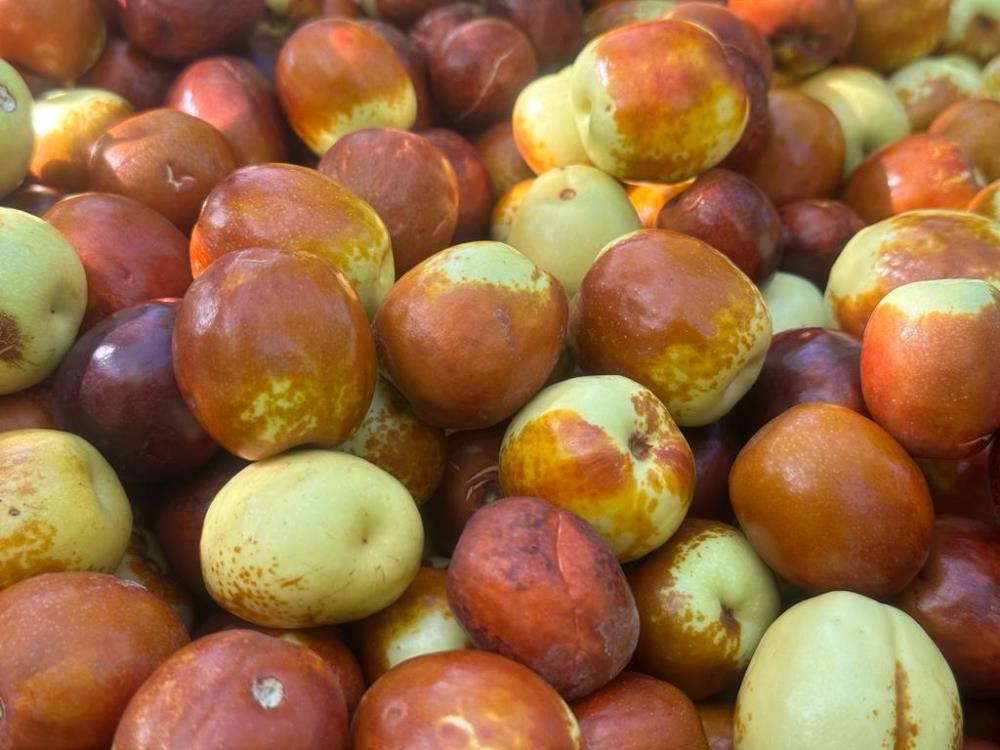 Bir şifa kaynağı: Hünnap