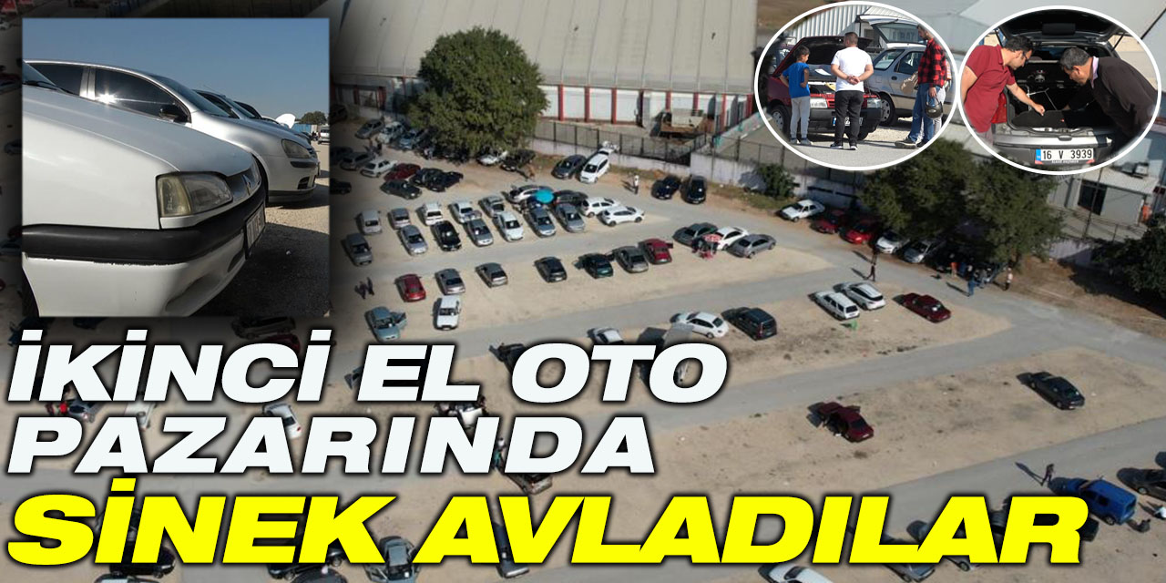 İkinci el oto pazarında sinek avladılar