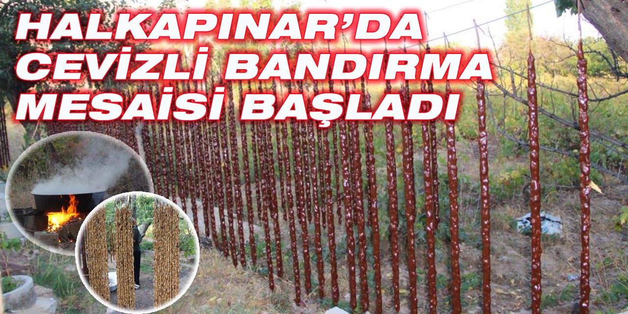 Halkapınar’da cevizli bandırma mesaisi başladı