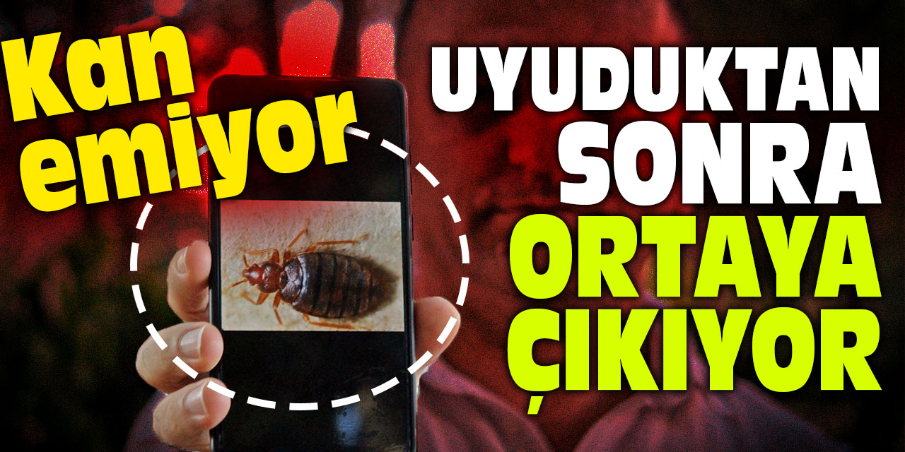 Uyuduktan sonra ortaya çıkıyor: Kan emiyor