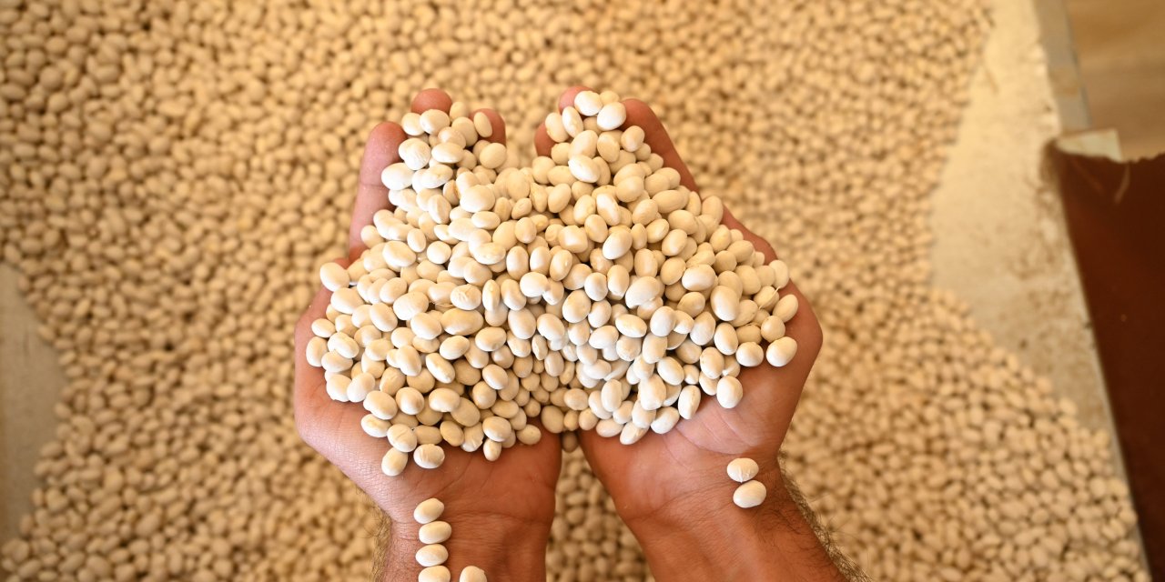 Başkan Altay: “Coğrafi İşaretli Akçabelen Fasulyesi Dünya Markası Olma Yolunda İlerliyor”