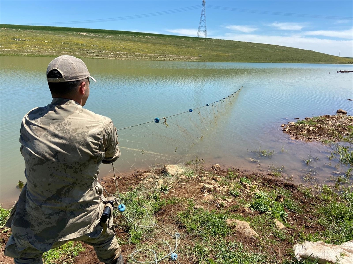 Denizlerde Yasak, İç Sularda da Yasaklanmalı
