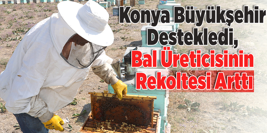 Konya Büyükşehir Destekledi, Bal Üreticisinin Rekoltesi Arttı