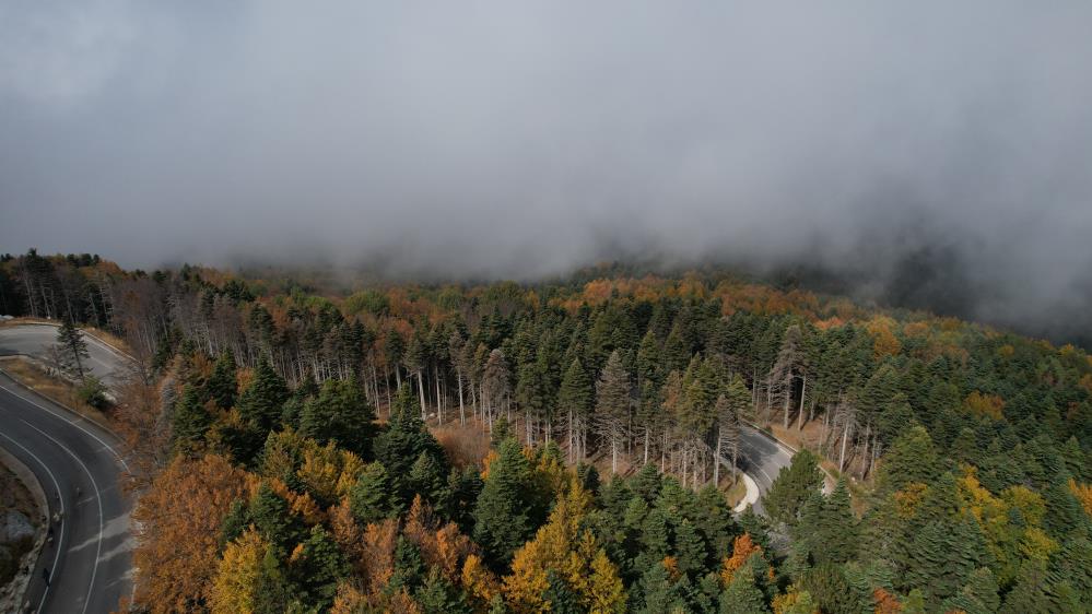 Uludağ'da sonbahar, görsel şölen oluşturdu