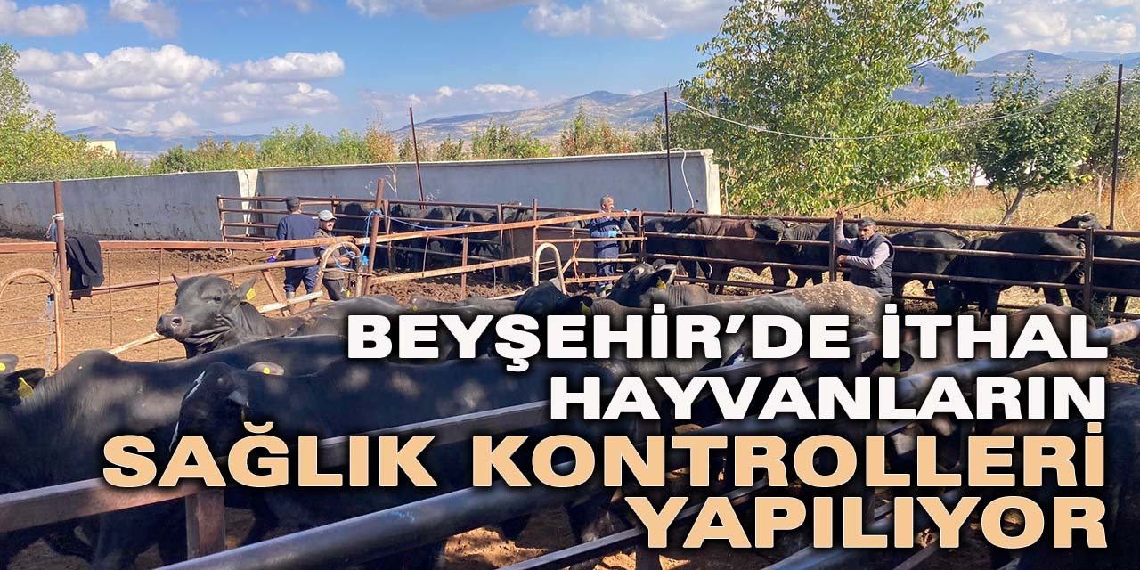 Beyşehir’de ithal hayvanların sağlık kontrolleri yapılıyor