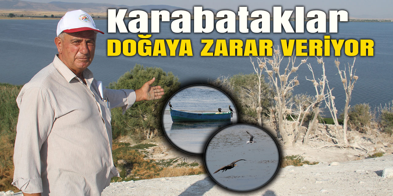 Karabataklar Doğaya Zarar Veriyor