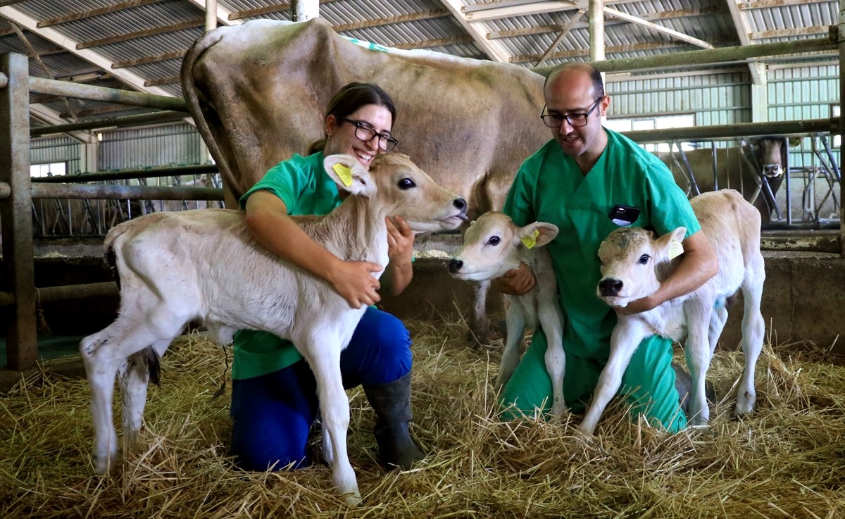 105 Bin’de 1 Nadirlikle Görülen Bu Üçüzler Başka Üçüz
