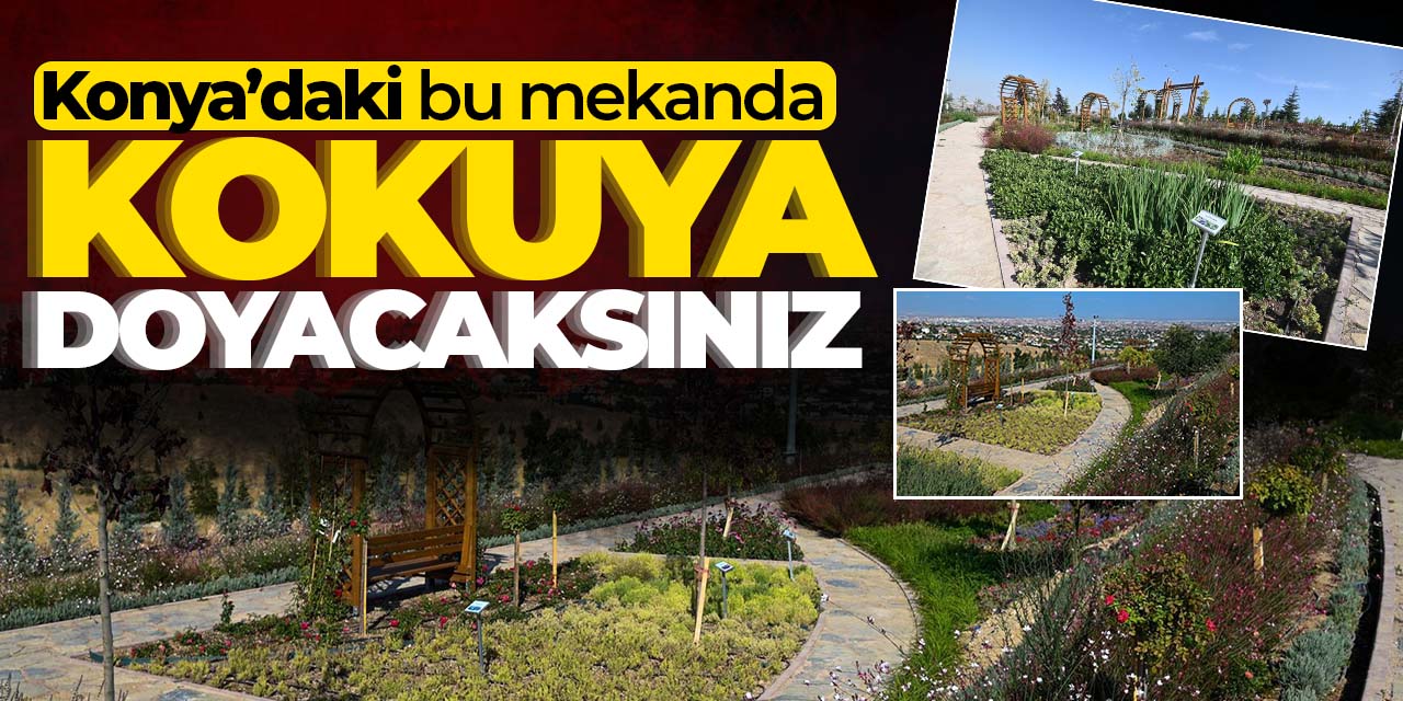 Konya'daki bu mekanda kokuya doyacaksınız