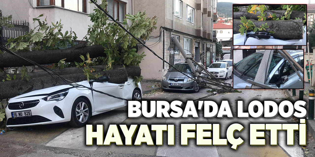 Bursa'da Lodos Hayatı Felç Etti