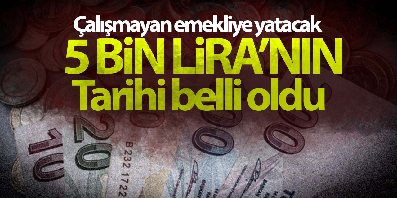 Çalışmayan emekliye yatacak 5 bin liranın tarihi belli oldu!