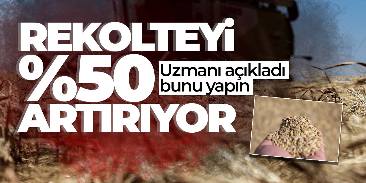Uzmanından açıklama: Rekolteyi %50 artırıyor