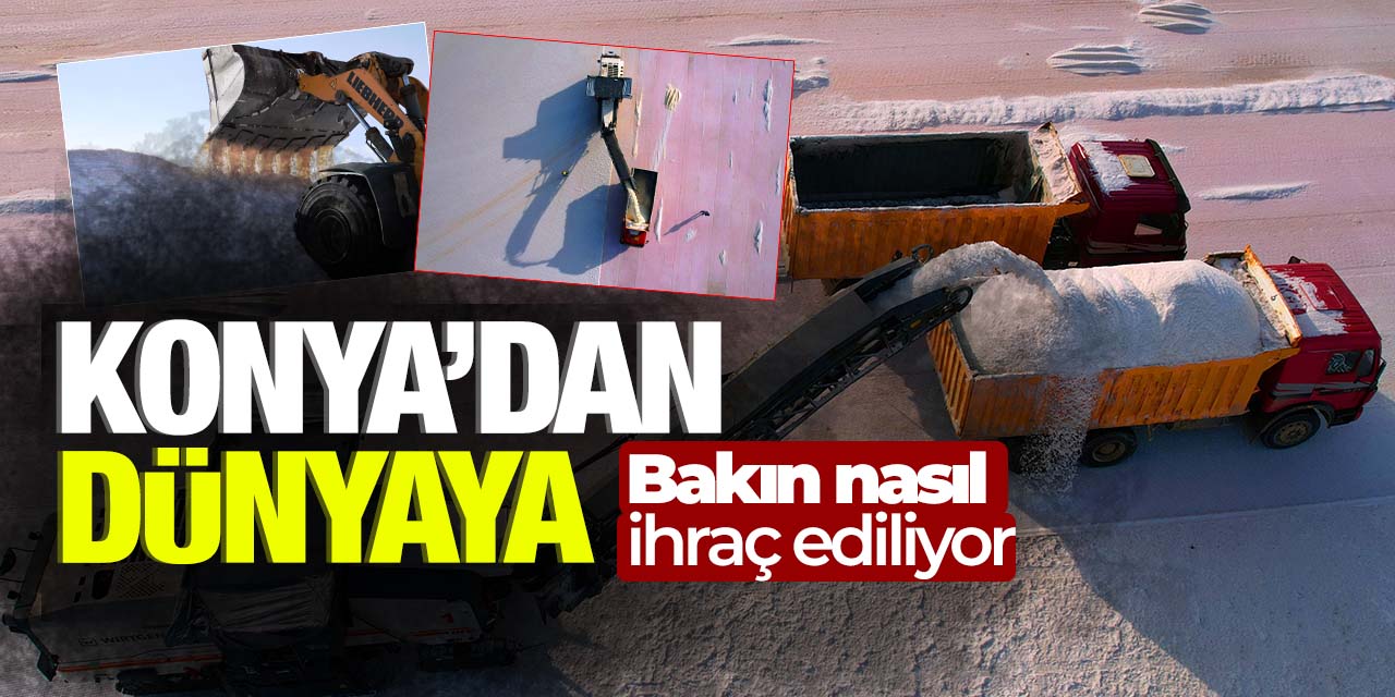 Konya'dan Dünyaya, bakın nasıl ihraç ediliyor!