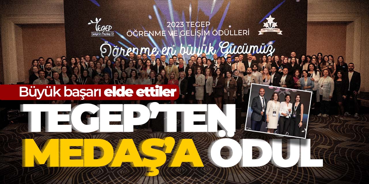 TEGEP'ten MEDAŞ'a ödül
