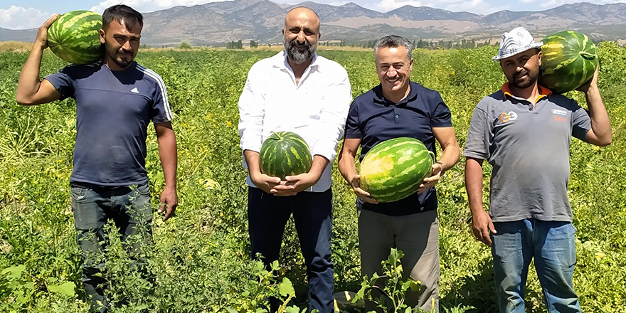 Seydişehir karpuzu ihraç ediliyor