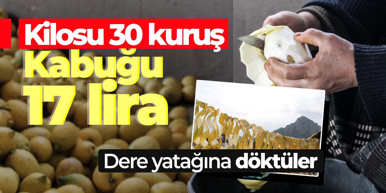 Dalından 30 kuruşa, kabuğu 17 liraya satılıyor