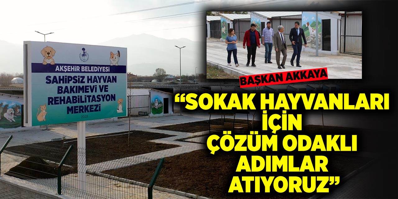 Başkan Akkaya: “Sokak Hayvanları İçin Çözüm Odaklı Adımlar Atıyoruz”