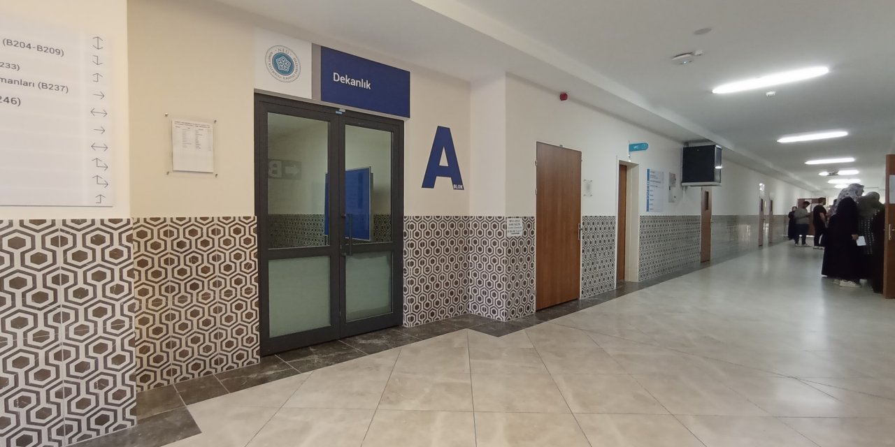 Profesörün yaralanması olayına karışan profesör ve kardeşi hakim karşısında