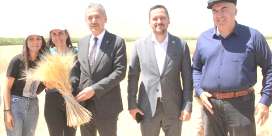 Karaman Valisi Tuncay Akkoyun elma hasadına katıldı