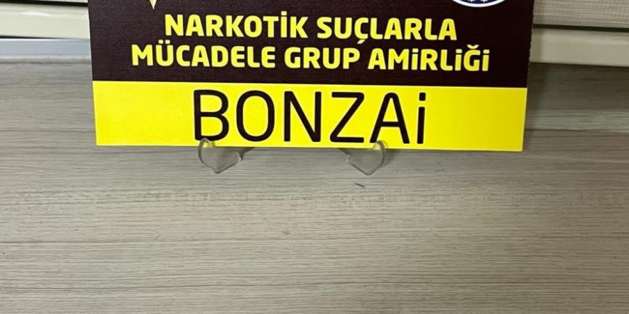 Konya'da uyuşturucu ile yakalanan 2 şüpheli gözaltına alındı
