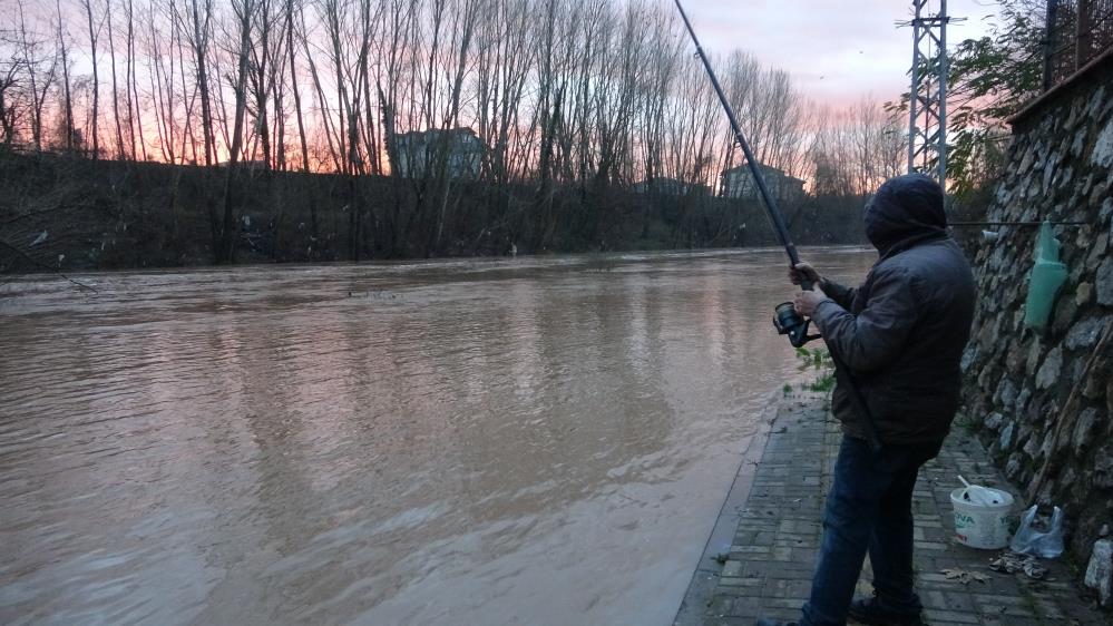 Asfaltta balık avı!