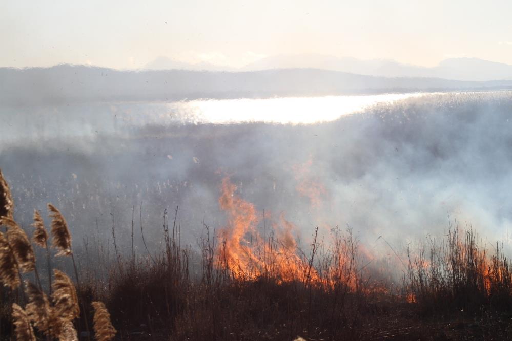 Beyşehir Gölü sazlıklarında çıkan yangın balıkçıları korkuttu