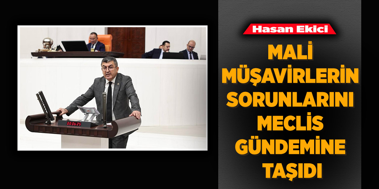 Hasan Ekici, Mali Müşavirlerin Sorunlarını Meclis Gündemine Taşıdı