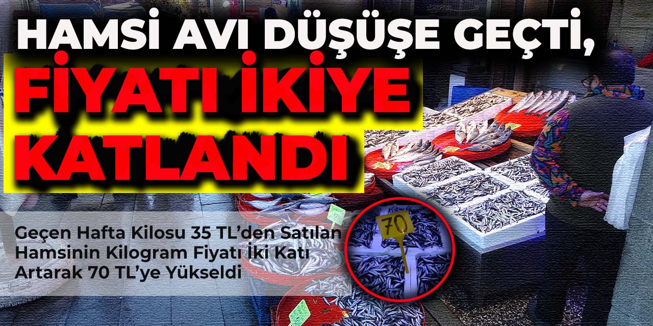 Hamsi avı düşüşe geçti, fiyatı ikiye katlandı