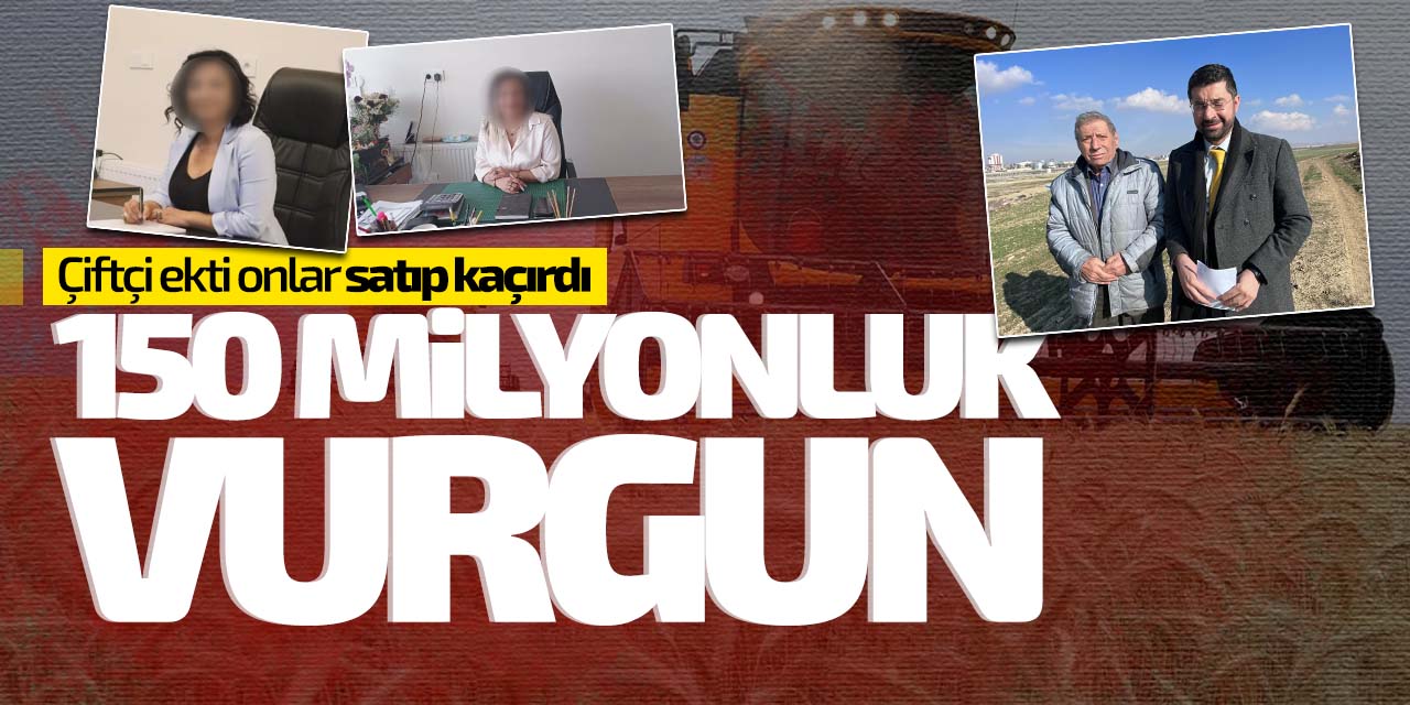 150 milyonluk vurgun! Çiftçi ekti onlar satıp kaçtı