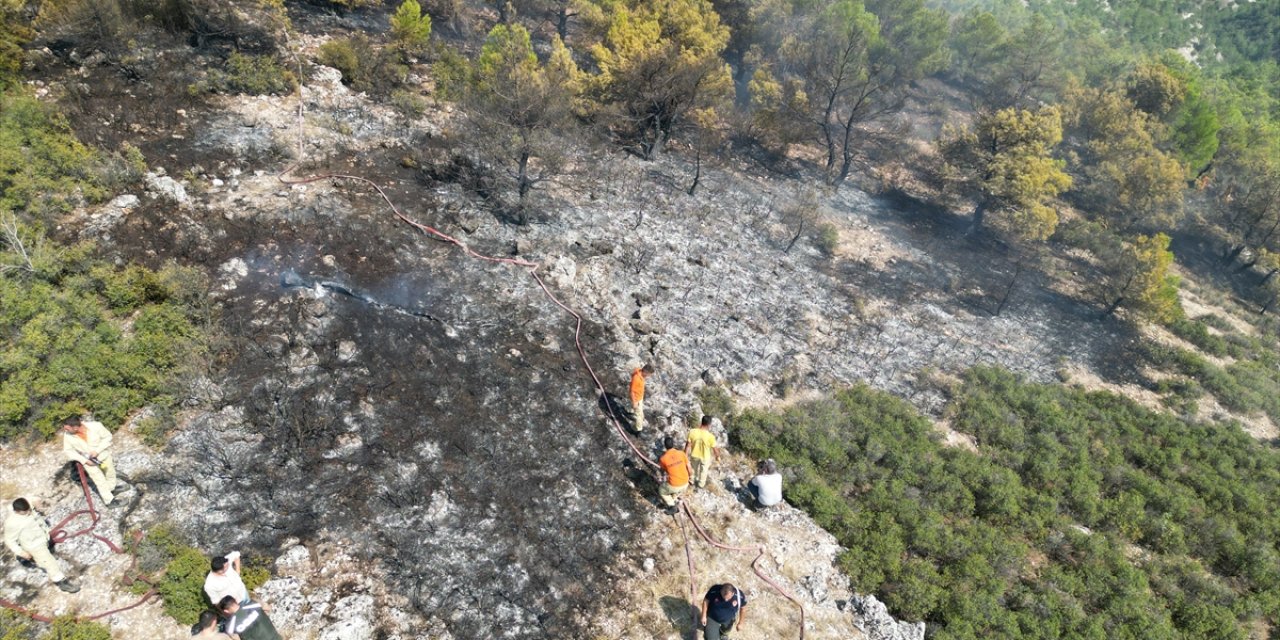 GÜNCELLEME - Manisa'daki orman yangını kontrol altına alındı