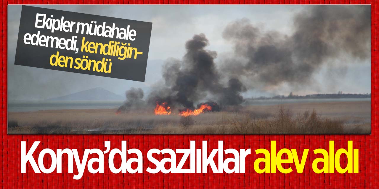 Konya'da sazlıklar alev aldı! Ekipler müdahale edemedi