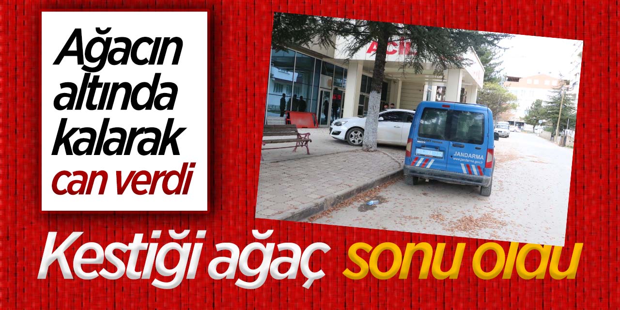 Afyonkarahisar'da ağacın altında kalarak can verdi