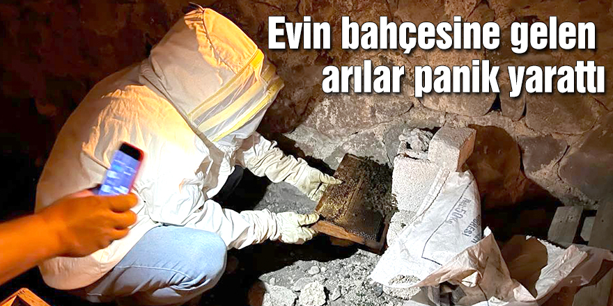 Evin bahçesine gelen arılar panik yarattı