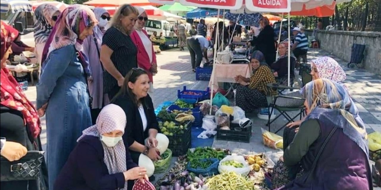 Eskişehir'de AK Parti'li kadınlar ilçe ziyaretlerini sürdürüyor