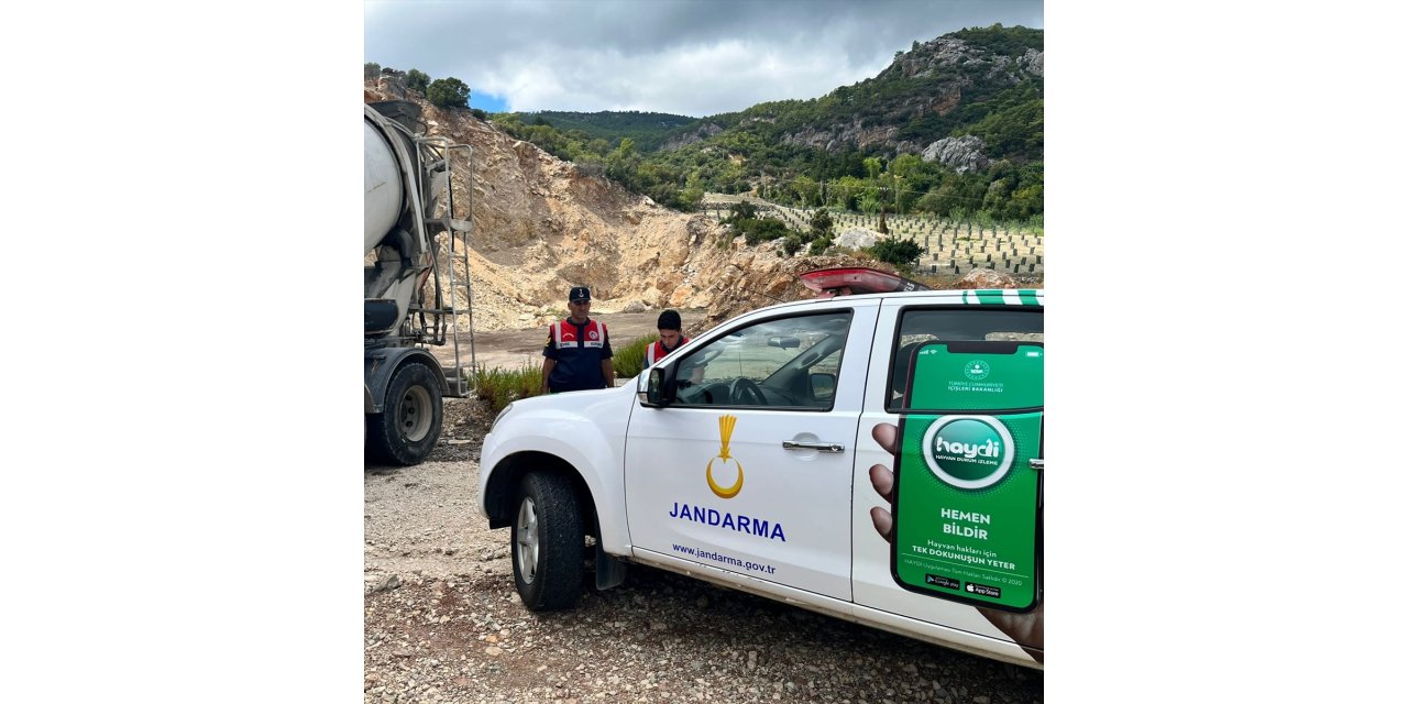 Antalya'da boş araziye beton döken 2 mikser şoförü ile şirkete para cezası verildi