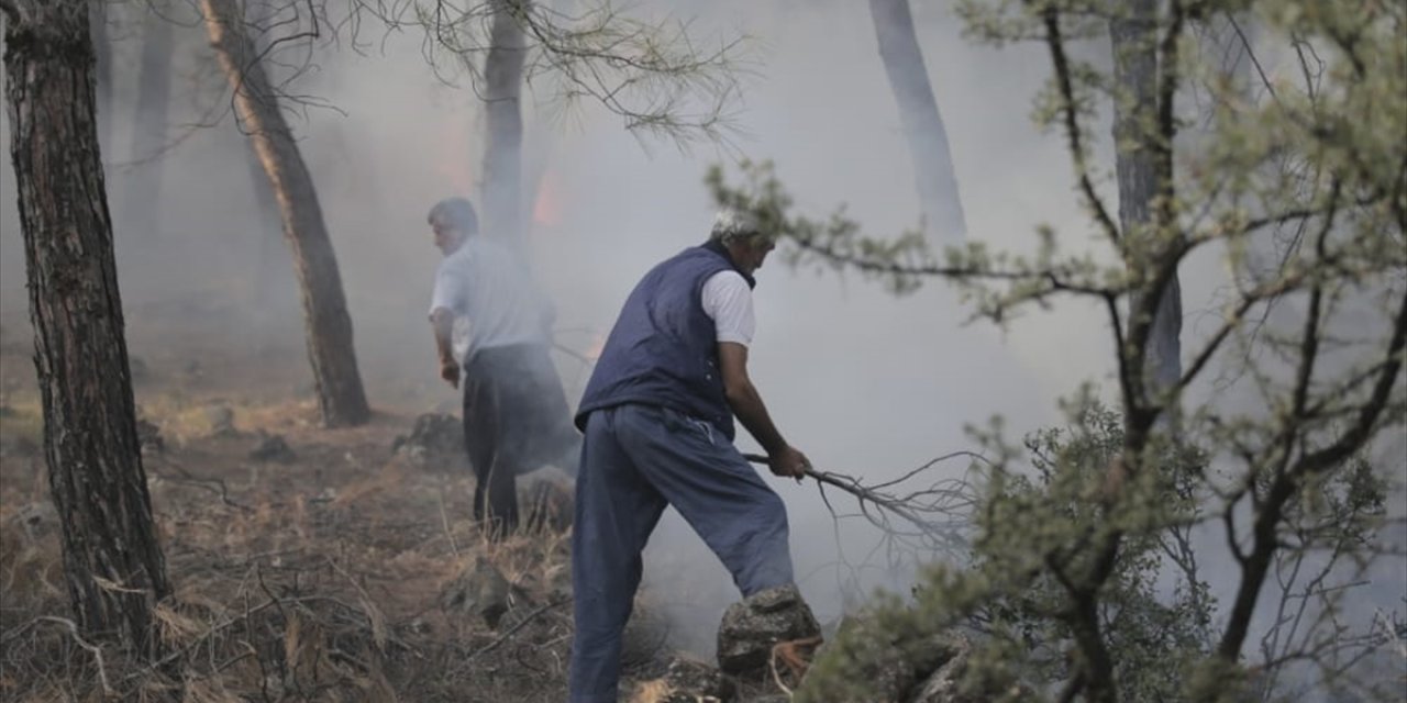 Hatay'da ormanlık alanda çıkan yangına müdahale ediliyor
