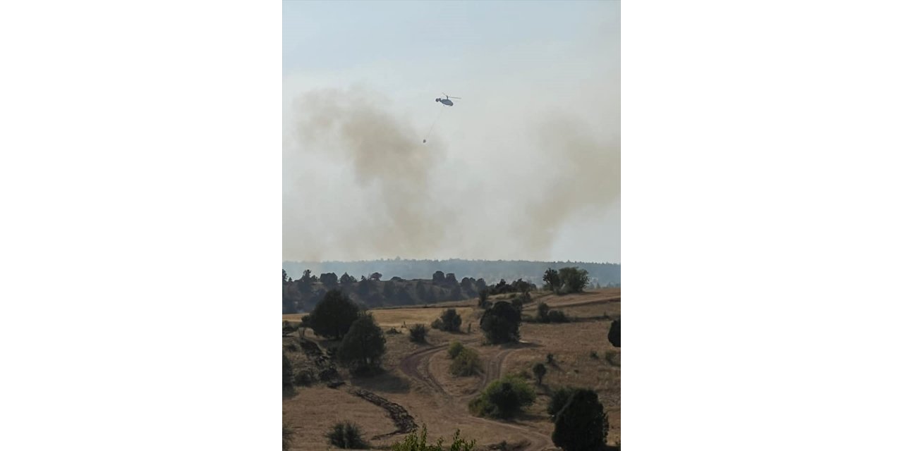 GÜNCELLEME - Erzincan'da ormanlık alanda çıkan yangın söndürüldü