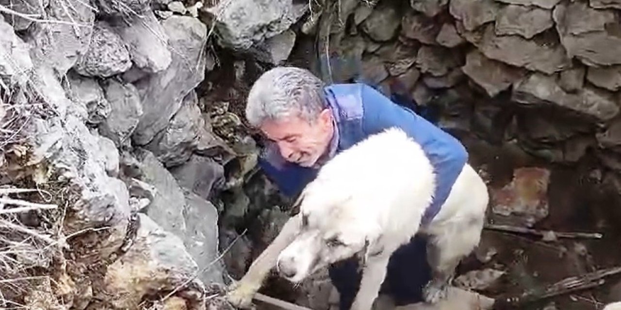 Kuyuya düşen ve bitkin kalan köpeği duyarlı vatandaşlar kurtardı