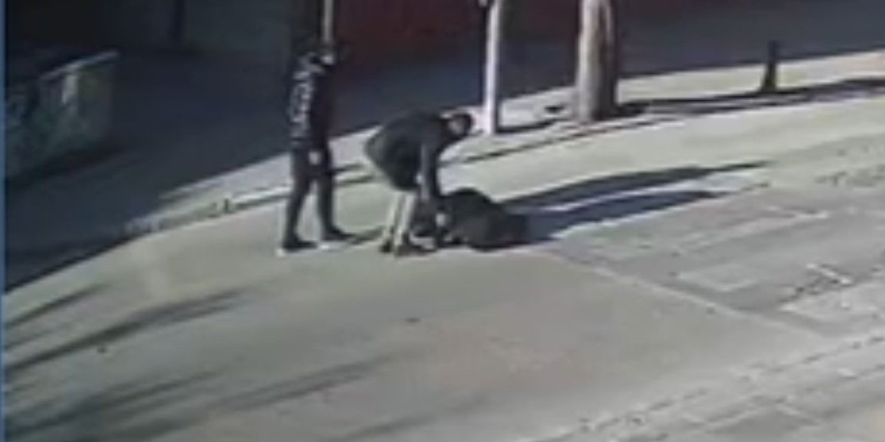 Yola fırlayan yayaya otomobil çarptı