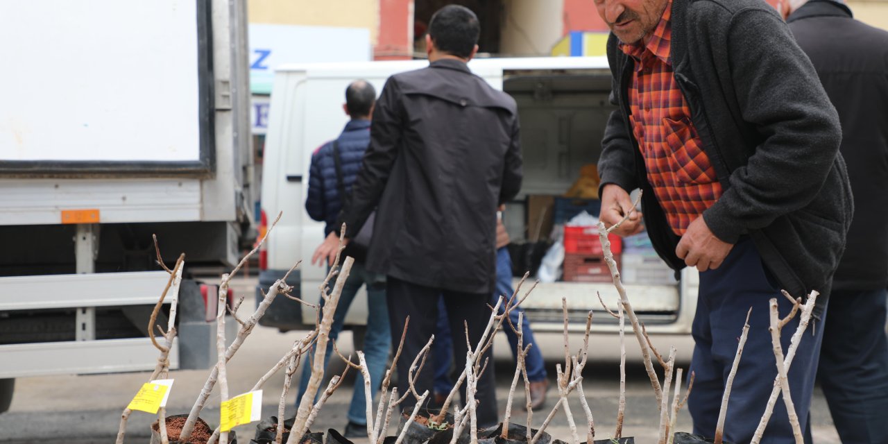 Bu destekle Konya'daki o üreticiler kalkınacak