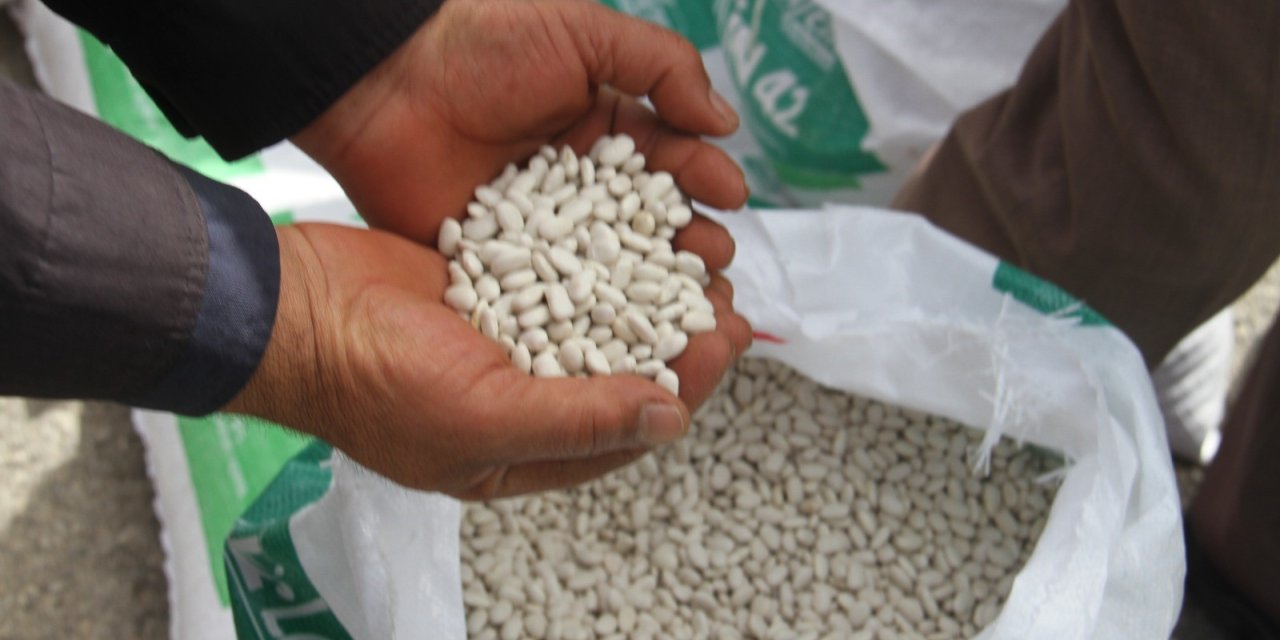 Konya’da “Kuru Fasulye ile Beyaz Bahar” projesi hayata geçiriliyor