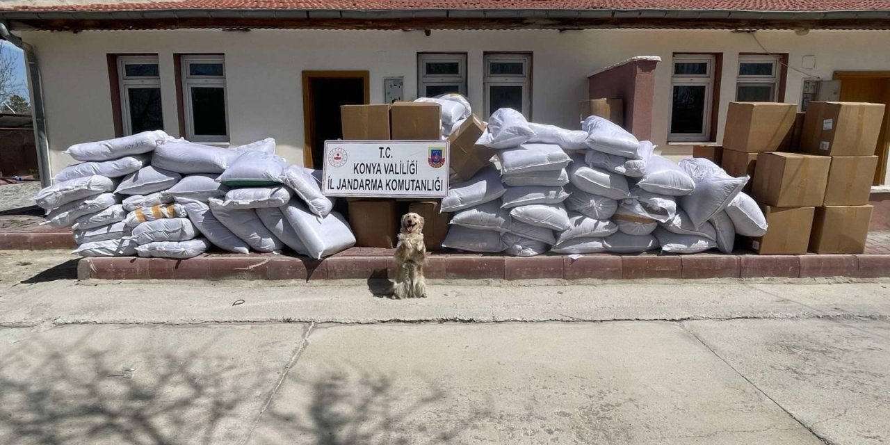 Konya'da 3 ayrı tırda 14 ton kaçak tütün ele geçirildi