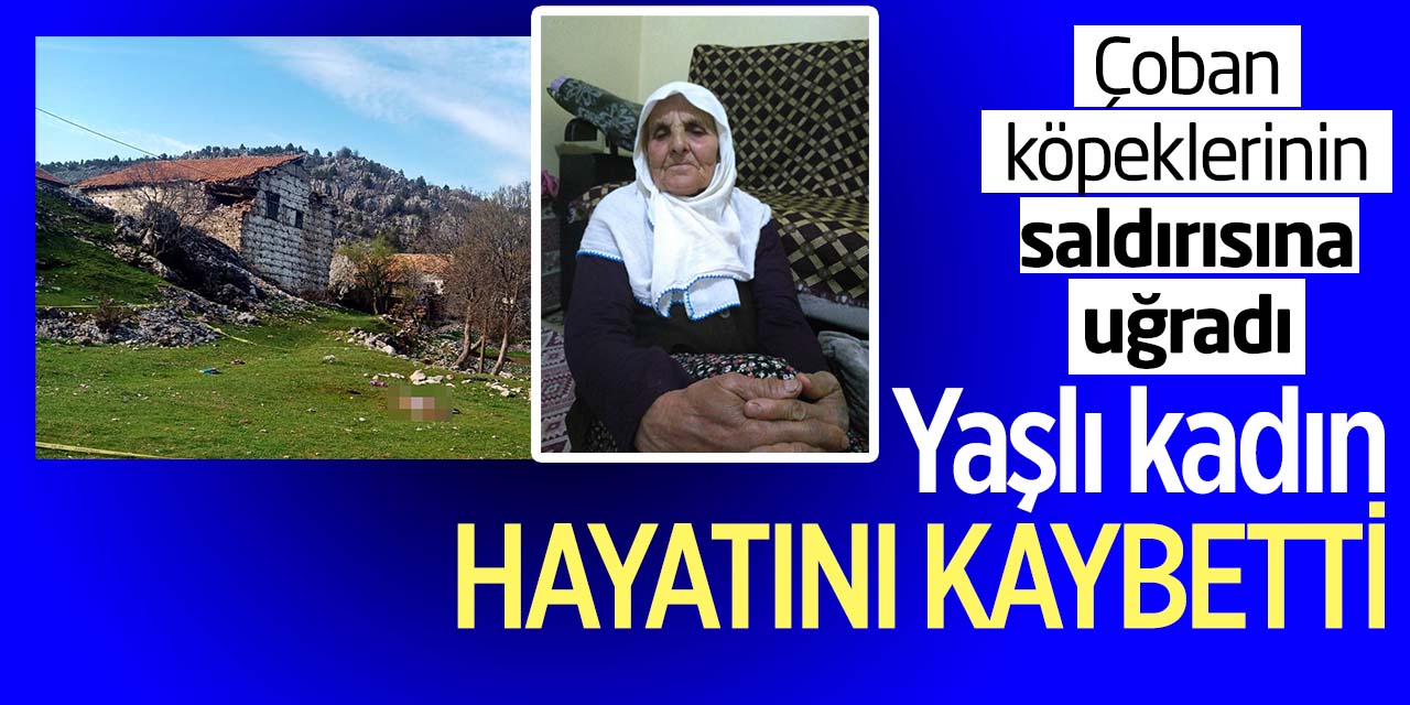 Çoban köpeklerinin saldırısına uğrayan yaşlı kadın hayatını kaybetti