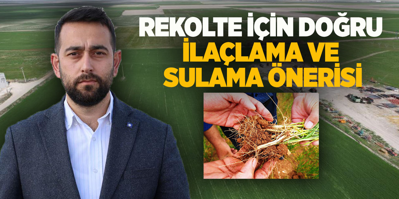Rekolte için doğru ilaçlama ve sulama önerisi