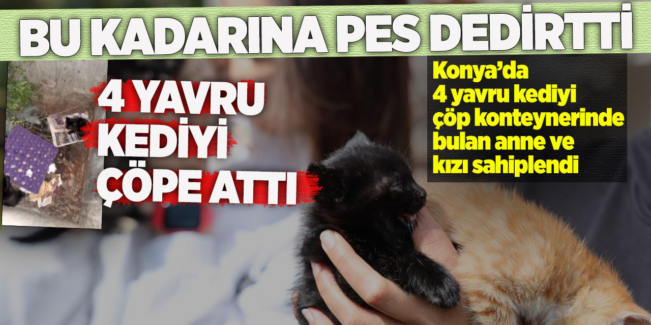 Bu kadarına pes dedirtti, 4 yavru kediyi çöpe attı