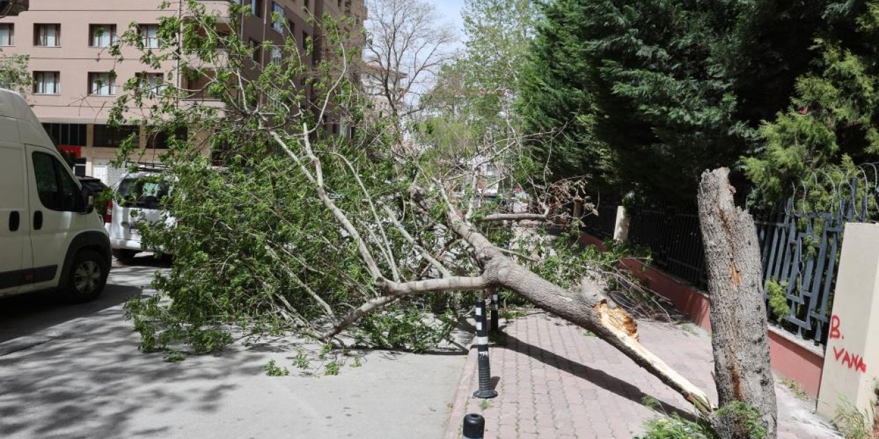 Konya'da fırtına etkili oldu! Ağaçlar devrildi, çatılar uçtu