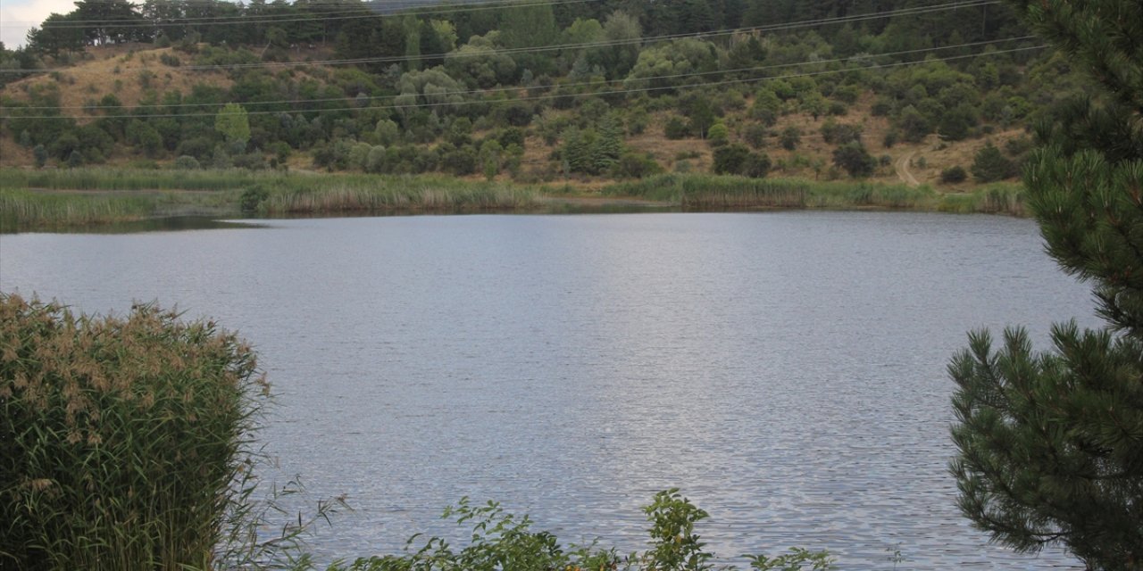 Beypazarı'ndaki Karagöl mesire alanına ziyaretçi ilgisi