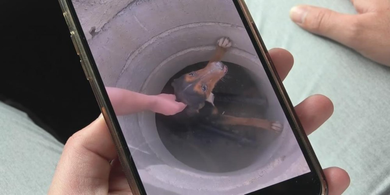 Rögara düşen köpeği kurtardı! O anları böyle anlattı