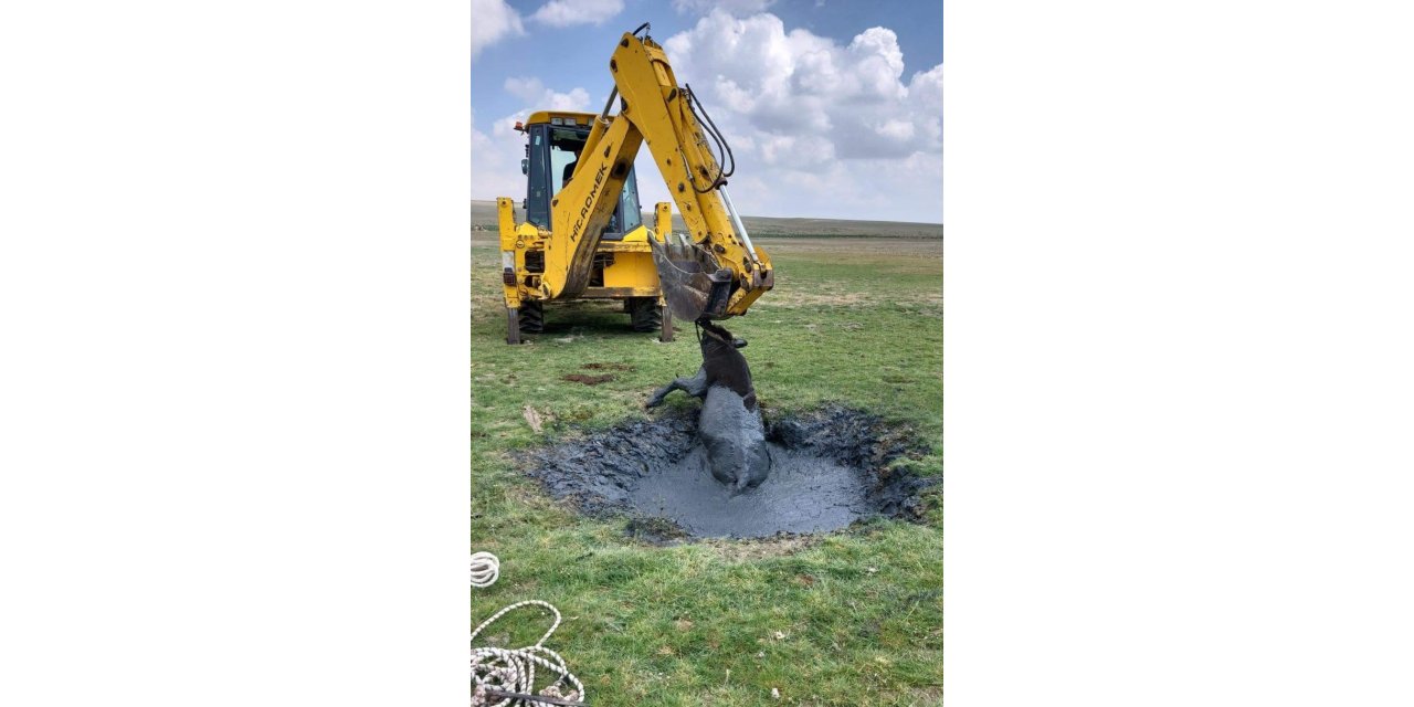 Konya'da çamura batan inek böyle kurtarıldı