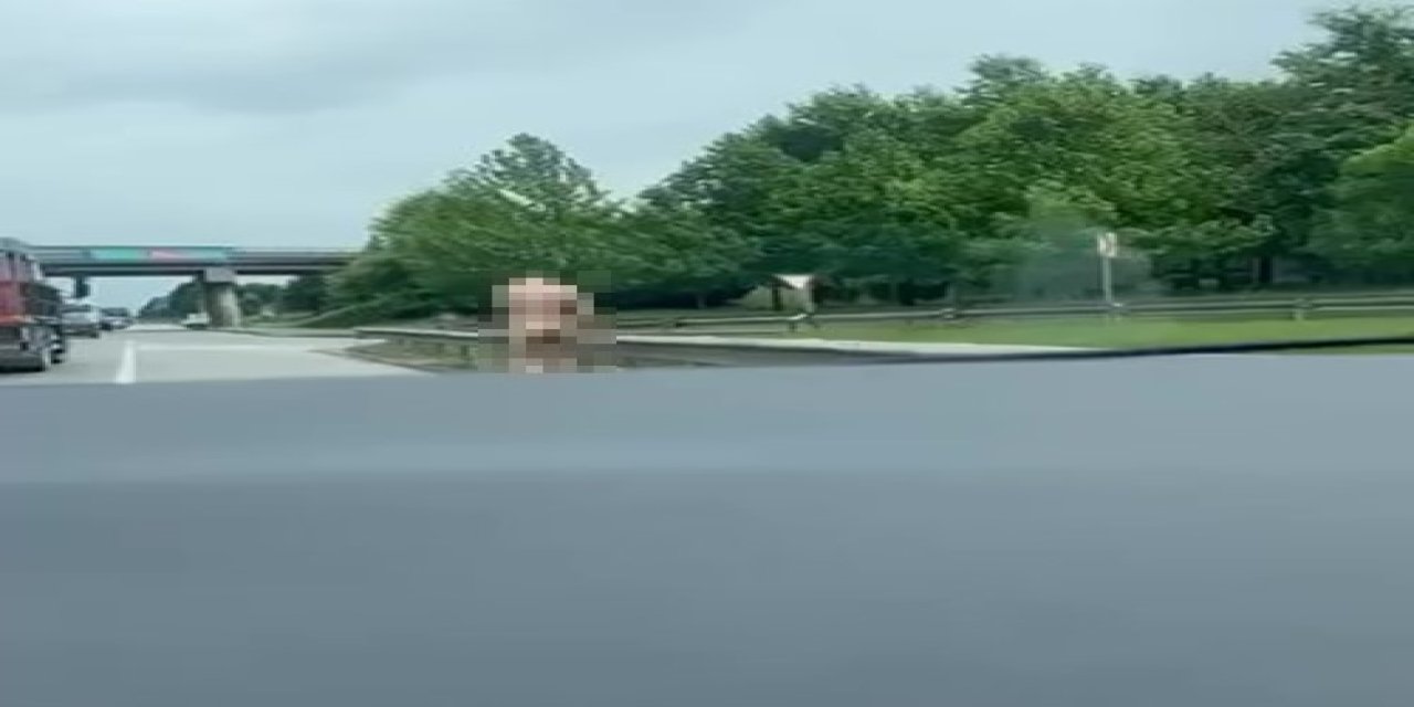 Kimseye aldırmadan çırılçıplak dolaştı! Kocaeli'deki o görüntü şok etti