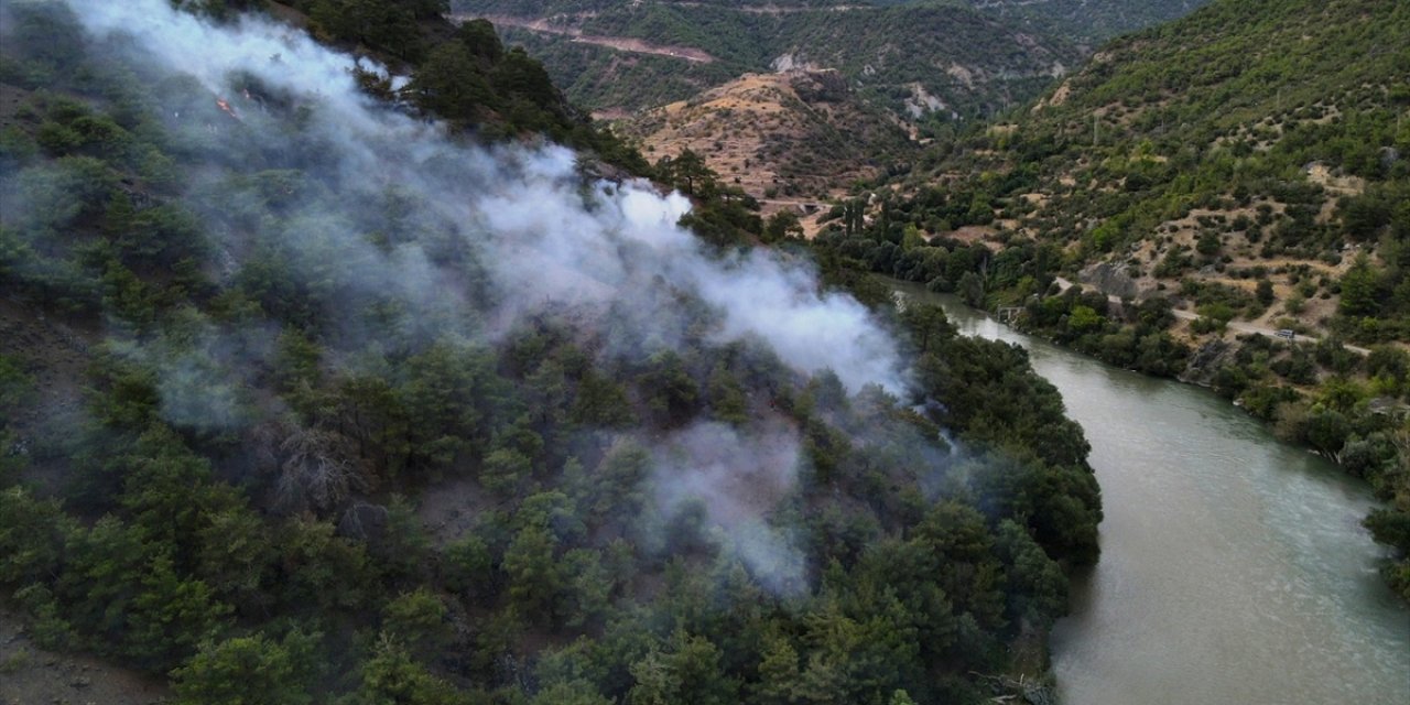 Amasya'da ormanlık alanda çıkan yangın söndürüldü